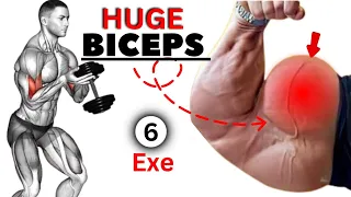 6 Exercises to Get Huge Biceps Fastest | Bicep Workout At GYM