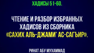 6. «Сахих аль-Джами’ ас-Сагъир». Хадисы 41-50. || Ринат Абу Мухаммад