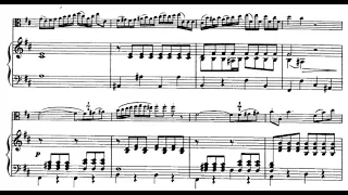 Hoffmeister - Viola Concerto in D, 1st Mov. (piano accompaniment)