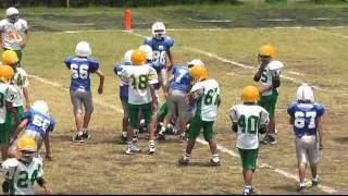 Patos Salvajes vs Gatos Salvajes Hornets J1 2011.mpg