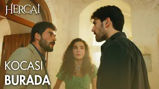 Öfkeden deliye dönen Miran - Hercai Efsane Sahneler