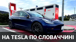 Поїздка на Tesla Model 3 по Словаччині. Відень - Закарпаття. Про електромобілі від Oleksii Bodnia