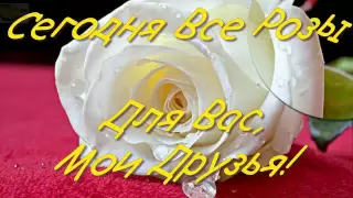 Розы! Моим Друзьям! Самые красивые Цветы! Roses! My Friends! VsemVseOboVsem.