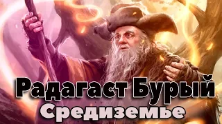 Радагаст Бурый. Кто он? Энциклопедия Средиземья. Волшебники Средиземья.