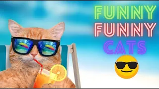 2 HOUR BEST FUNNY CATS COMPILATION 2023 😂| The Best Funny And Cute Cat Videos 11!😸 😸