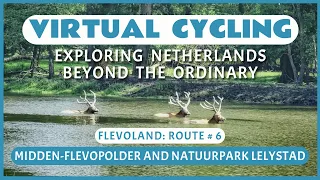 Virtual Cycling | Exploring Netherlands Beyond the Ordinary | Flevoland Route # 6