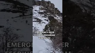 Utah Emergency Deer Feeding Program ❄️