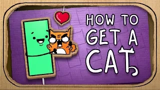 How to Get a Cat? (Terrible Advice)