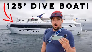 Moving onto a LIVE-ABOARD DIVE BOAT in GALAPAGOS! [Part 3]