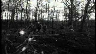 US infantrymen advance through Hurtgen Forest in Germany during World War II. HD Stock Footage