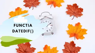 Functie Excel care poate calcula numar ani, numar luni, numar zile | Functia DATEDIF