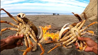 Cooking TWO HUGE Dungeness Crab on the Beach