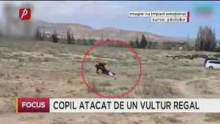 Copil atacat de un vultur regal