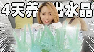 神奇试验：用水种植水晶！4天竟然长满一整盆！不可思议！| Crystal