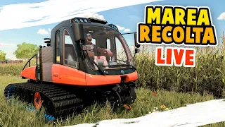 ZIUA CEA MARE! HAI CU RECOLTA - Fs 22 Elmcreek