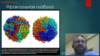 "Как выглядит молекула ДНК?"