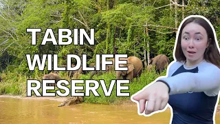 A Wild Adventure at Tabin Wildlife Reserve | Amazing Borneo