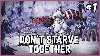 New Year, New World! | Don't Starve Together - Solo World 4 (#1)