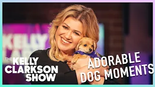 The Most Adorable Dog Moments On The Kelly Clarkson Show | Digital Exclusive