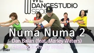 Numa Numa 2 - Dan Balan (feat. Marley Waters) / Dance Fitness Choreography / Wook's Zumba® Story