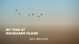 My year at Macquarie Island