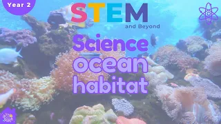 Ocean Habitats | Science For Kids Year 2 | STEM Home Learning