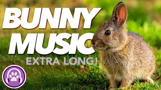 EXTREMELY LONG Music for Rabbits - 20-HOUR Relaxation Melody