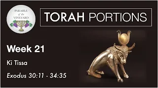 Torah Portions - Week 21 - Ki Tissa - Exodus 30:11 - 34:35 (2020-2021)