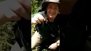 CRAYFISH FOUND IN THE SWAMPS OF THE DEEP SOUTH!! | Pearl River Wildlife Management Area | Wildlife