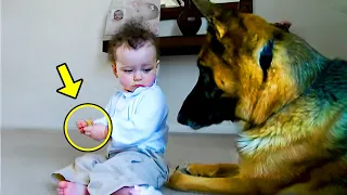 ¡Bebé De Repente Agarra Hueso Del Perro, Entonces El Perro Hace Algo Increíble!