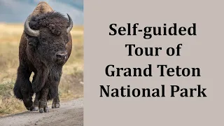 Self Guided Tour of Grand Teton National Park