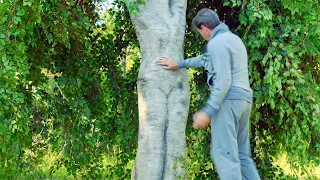 He Finds A Big Tree That Looked Like A Woman, After Touched It Curiously, He Regretted !