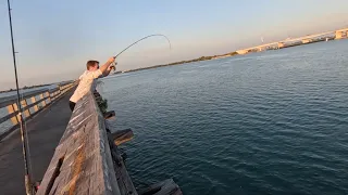 Saltwater Pier Fishing!!!Рыбалка на пирсе в соленой воде!!!