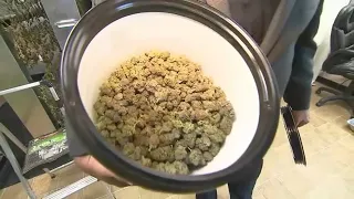 Tainted marijuana found at 20 unlicensed NYC businesses