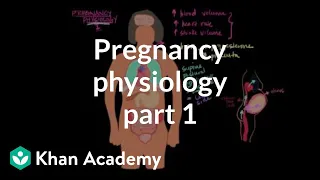 Pregnancy physiology I | Reproductive system physiology | NCLEX-RN | Khan Academy