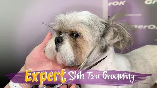 Shih Tzu Grooming Tutorial | Step-by-Step Guide for Beginners | Mastering the Art of Shih Tzu Care