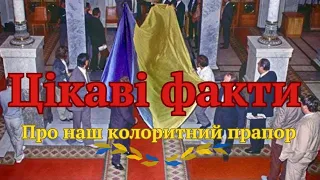 ТОП факти про український прапор #прапорукраїни #історія #україна #новини #ukraine
