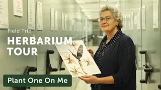 Tour an HERBARIUM: Museum of Plants — Ep. 283