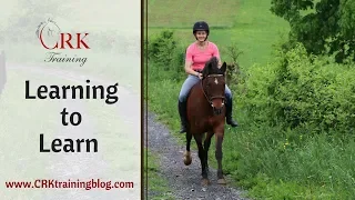 Learning to Learn - How it makes your horse smarter and more trainable