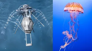 6 Amazing Animal-Inspired Robots Which Can Do Things That Humans Can't | Robotic Technology