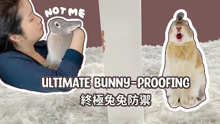 How to Bunny-Proof Your Home | 10 ideas