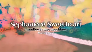 Sophomore Sweetheart (Slowed & Reverb)