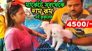 মার্কেটে সবথেকে দাম কম এই কুকুরের | Gallif Street Pet Market Kolkata | Recent Dog Puppy Price Update