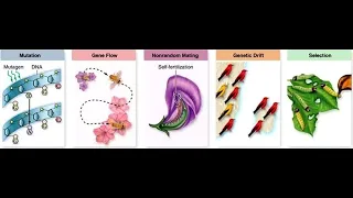 Solving Mathematical Challenges to Evolution--Pt. 3