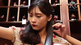 Larsen Cannone cello strings test 加農砲大提琴弦測試