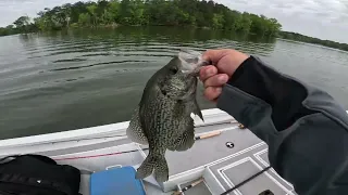 Badin Lake Crappie Tournament Win