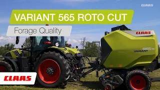 CLAAS VARIANT 565 ROTO CUT | Forage Quality