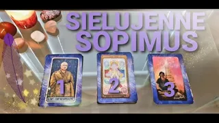 SIELUJENNE SOPIMUS ~ valitse TAROTviesti