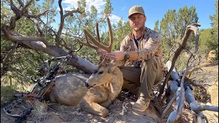 New Mexico Archery Mule Deer Hunt: 2023