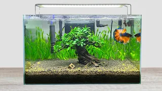 DIY Simple Aquasacpe Betta Fish For Office - How To Make Aquarium Decoration Ideas - MR DECOR #179